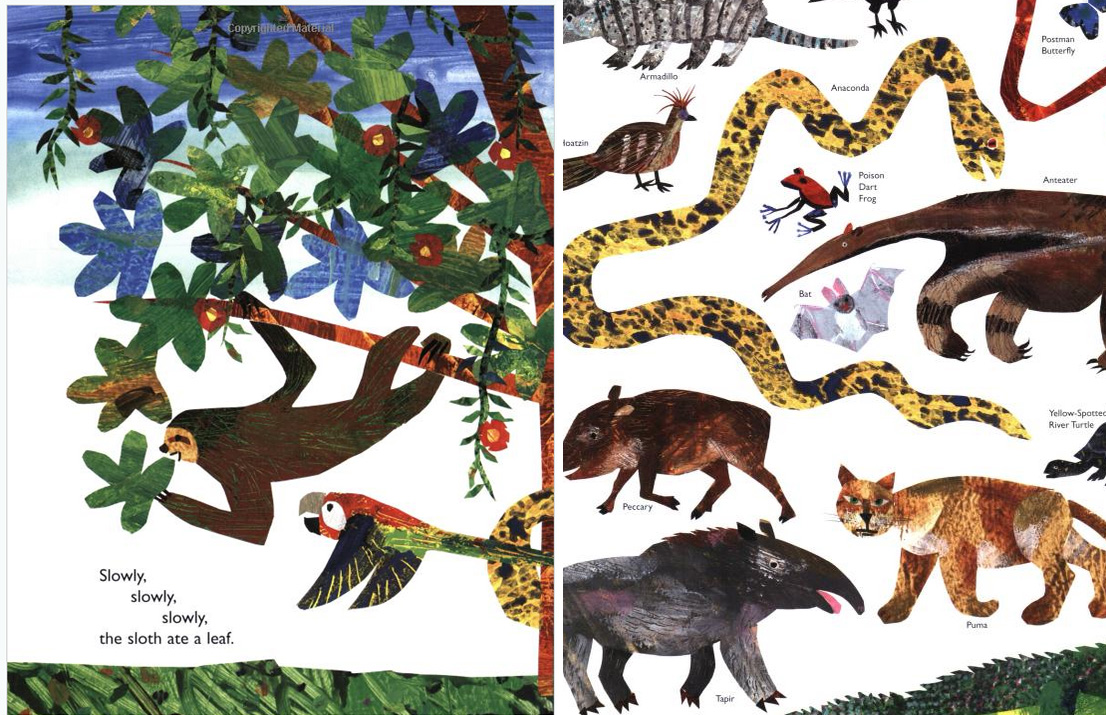 "Slowly, Slowly, Slowly," said the Sloth - Exodus Books