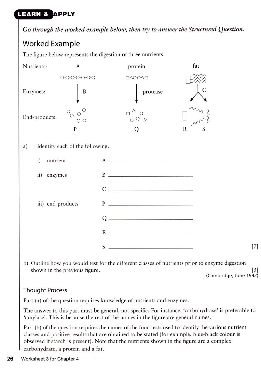 animal worksheet: NEW 722 WORKSHEETS ON ANIMAL TISSUES