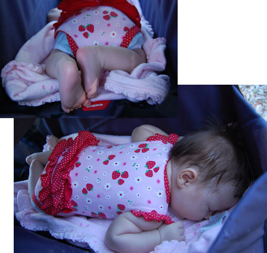 Stroller