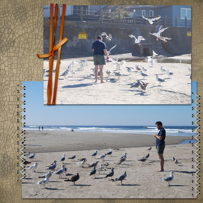 Feed the Birds