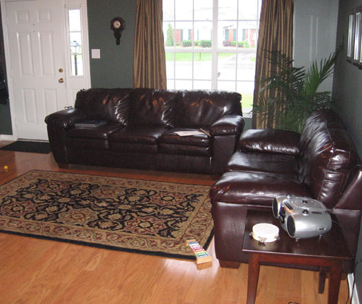 homey living room