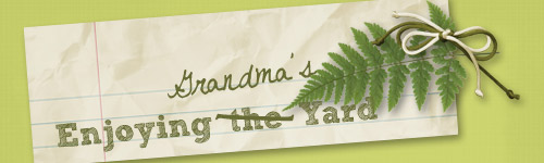 Grandma's Yard