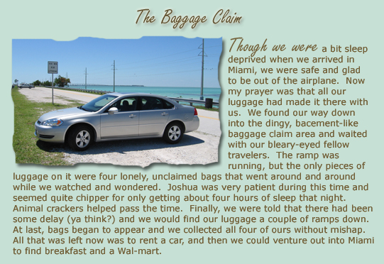 Baggage Claim