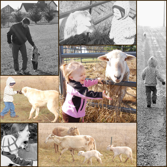 A Taste of the Country