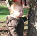 Joshua 12 and 13 months