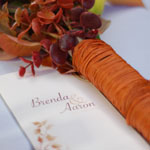 Aaron and Brenda's Wedding