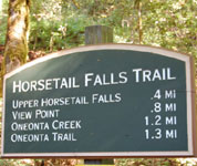 A Hike in the Columbia River Gorge