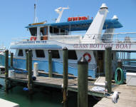 A Glass-Bottomed Boat Tour