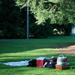 Summer 2010