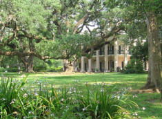 A Visit to Oak Alley