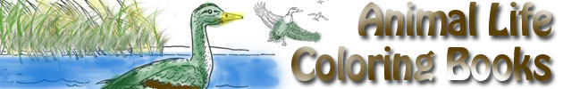 Animal Life Coloring Books