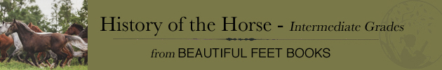 BFB History of the Horse