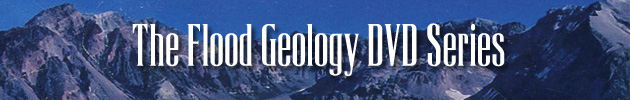 The Flood Geology Series