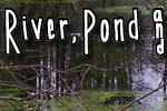 River, Pond & Swamp