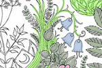 Adult Coloring Books - Exodus Books