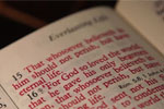 Red-Letter Bibles - Exodus Books
