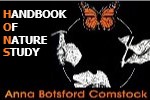 Anna Comstock's Handbook of Nature-Study