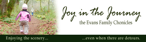 Joy in the Journey