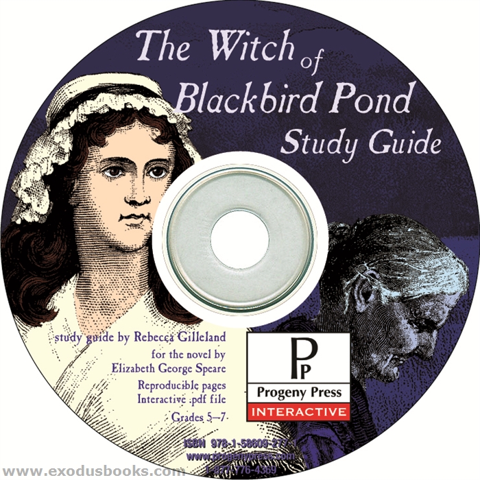 book essay bronze bow book essay bronze bow