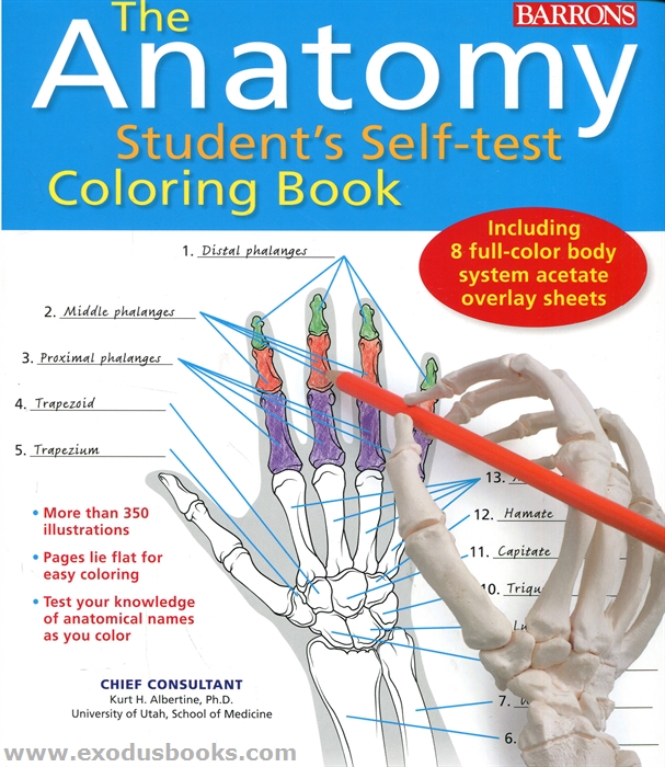 anatomy and physiology coloring workbook 11th edition pdf