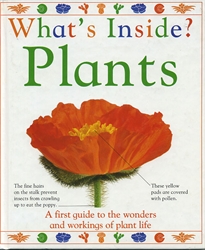 What's Inside? Plants