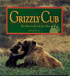 Grizzly Cub
