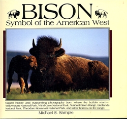 Bison