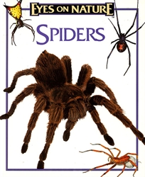 Eyes on Nature: Spiders