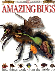 Amazing Bugs