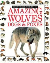 Amazing Wolves, Dogs and Foxes - Exodus Books