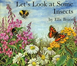 Let's Look at Some Insects
