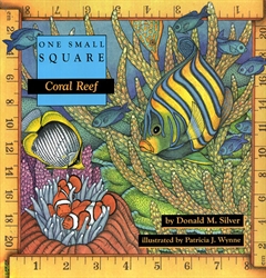 One Small Square: Coral Reef