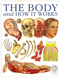 Body and How it Works