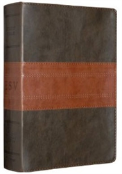 ESV Study Bible - Two-toned Leather