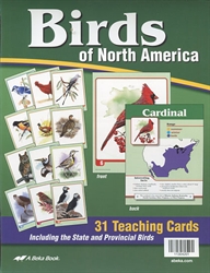 Birds of North America Flashcards