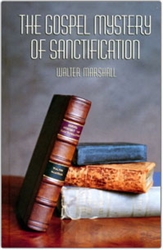 Gospel Mystery of Sanctification