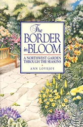 Border in Bloom
