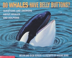 Do Whales Have Belly Buttons?