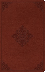 ESV Value Thinline Bible - Exodus Books