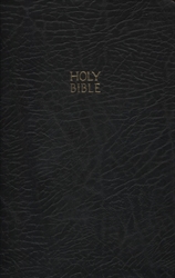 KJV UltraSlim Bible
