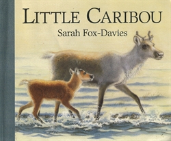 Little Caribou