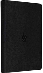 ESV Value Thinline Bible - Exodus Books