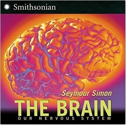 Brain - Exodus Books