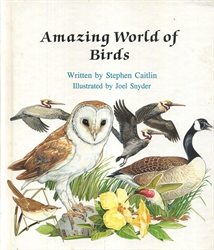 Amazing World of Birds