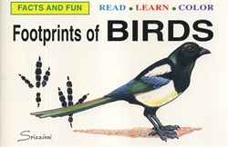 Footprints of Birds
