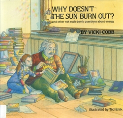 Why Doesn't the Sun Burn Out?