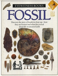 DK Eyewitness: Fossil