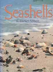 Seashells