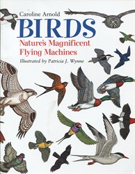 Birds: Nature's Magnificent Flying Machines