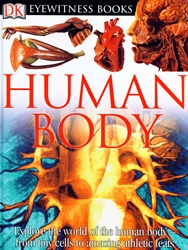 DK Eyewitness: Human Body